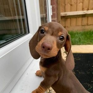 Meet your Posher, Stephen